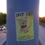 Feral Friends Community Cat Alliance Lost Cat