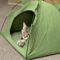 Catter