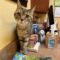 Catter